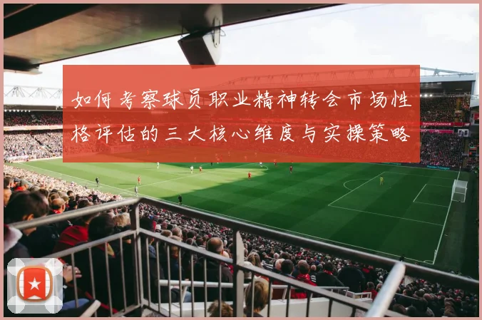 如何考察球员职业精神转会市场性格评估的三大核心维度与实操策略