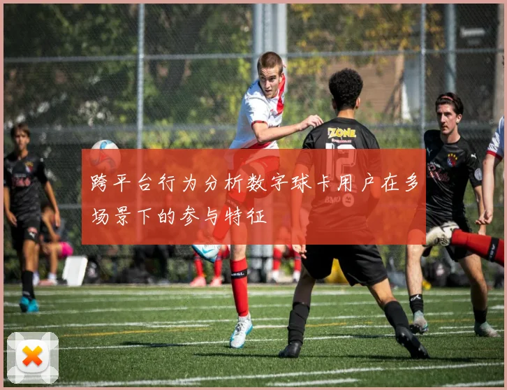 跨平台行为分析数字球卡用户在多场景下的参与特征